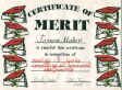 Cert-James-1999.jpg (45193 bytes)
